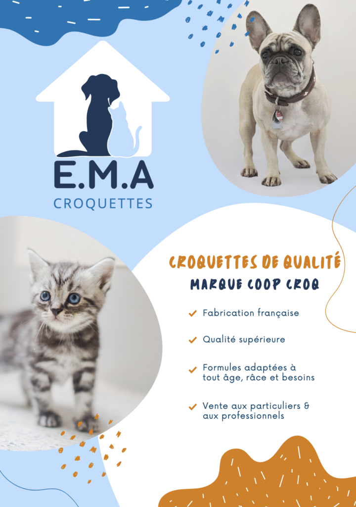 Flyer crée par Kap Kom 2023